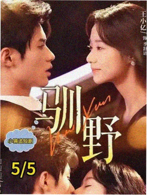 国产剧集题材趋势分析